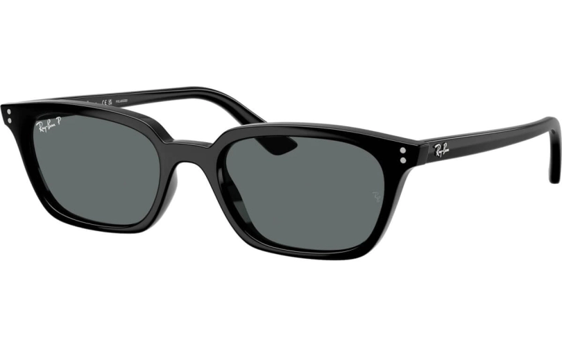 Ray-Ban Zaya RB4456 667781 53